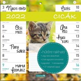 Lizzy Card Hűtőmágneses naptár: Cicák - kéthetes, 2022