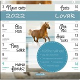 Lizzy Card Hűtőmágneses naptár: Lovak - kéthetes, 2022