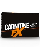Pro Nutrition Carnitine-FX (20x10 g)