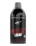 Pro Nutrition Carnitine Liquid (1 lit.)