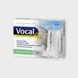 RPM Pharma SA Vocal menta ízű étrend-kiegészítő szopogató tabletta