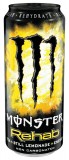 0,5l Can Monster Rehab