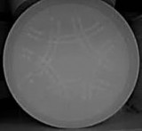 05049 PINCÉR TÁLCA 400-AS 40 CM