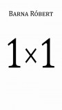 1 × 1