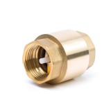 1" visszacsapó szelep műa. tányérral