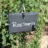 10 darabos pala tábla szett növényekhez rozsdamentes acél oszlopokkal