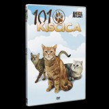 101 Kiscica - DVD