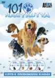 101 Nagykutya - Díszdobozos kiadás - 4 DVD