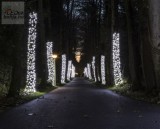 200 DB LED karácsonyi háló világítás kültéri hideg fehér