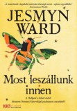 21. Század Kiadó Jesmyn Ward: Most leszállunk innen - Kult Könyvek - könyv