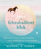 21. Század Kiadó Michael A. Singer: Napló a Felszabadított lélek című könyvhöz - könyv