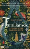 21. Század Kiadó Stacey Halls: Familiárisok - könyv
