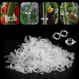 30db Paradicsom Inda Rögzítő Csipesz Kertészeti Növénytartó Klipsz