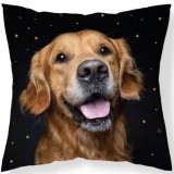 3ba HomeStyle Golden Retriever Díszpárnahuzat 40x40 cm