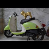 3D Francia bulldog papírszobor készítő készlet, arany