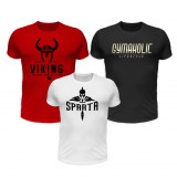 3db póló szettben (Viking, Gymaholic, Sparta)