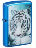 48951 Zippo öngyújtó kék színben - Tigris Carol Cavalaris