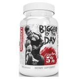 5% Nutrition Bigger By The Day (90 kap.)