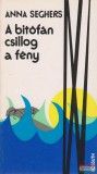 A bitófán csillog a fény