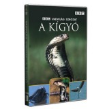 A kígyó - DVD