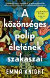 A közönséges polip életének szakaszai