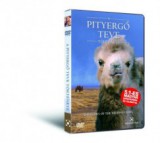 A pityergő teve története - DVD