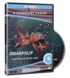 A természet csodái 04. - Óriáspolip