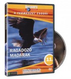 A természet csodái 11. -  Ragadozó madarak - DVD