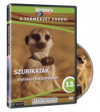 A természet csodái 13. -  Szurikáták - DVD