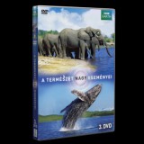 A természet nagy eseményei 3. - DVD