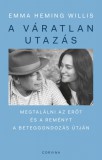 A váratlan utazás