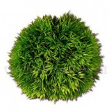 ABC-ZOO Cladophora aegagropila - Moha golyó 13 cm