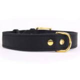 ABC-ZOO Exclusive Gold bőr nyakörv, fekete, 4 cm x 52 - 67 cm