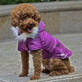 ABC-ZOO Kutyabunda cipzáros zseb imitációval - lila, XXL