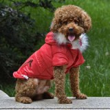 ABC-ZOO Kutyabunda cipzáros zseb imitációval - piros, M