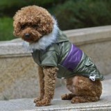 ABC-ZOO Kutyabunda felvarróval - zöld, M