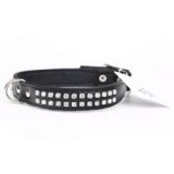 ABC-ZOO Zircon bőr nyakörv, fekete 2 cm x 31 - 37 cm