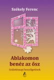 Ablakomon benéz az ősz