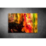 Absztrakt Vászonkép 099 eh-099