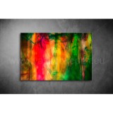 Absztrakt Vászonkép 102 eh-102