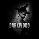 Acid Wizard Studio Darkwood (PC - Steam elektronikus játék licensz)