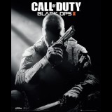 Activision Call of Duty: Black Ops II (PC - Steam elektronikus játék licensz)