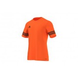 Adidas PERFORMANCE entrada jersey Focimez F50488