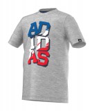 Adidas Póló Yb wc lineage t F79184