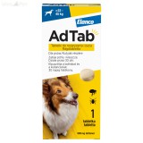 AdTab™ rágótabletta kutyák részére 900 mg (22-45 kg testsúly) 1db
