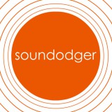Adult Swim Games Soundodger+ (PC - Steam elektronikus játék licensz)