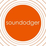 Adult Swim Games Soundodger+ (PC - Steam elektronikus játék licensz)