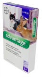 Advantage macskáknak és nyulaknak 0,8ml 4kg felett, 1 pipetta
