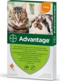 Advantage Spot On 4 kg alatt 1 db