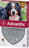 Advantix Spot On 40-60 kg 1 db